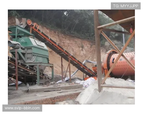 云顶彩票多种玩法介绍满足不同玩家的多样化需求