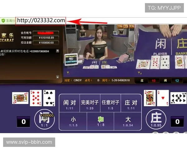 bbin波音网投游戏种类全面介绍及新手入门必备技巧分享